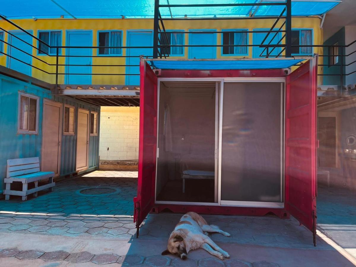 Peace Hostel Mx La Paz Exterior photo