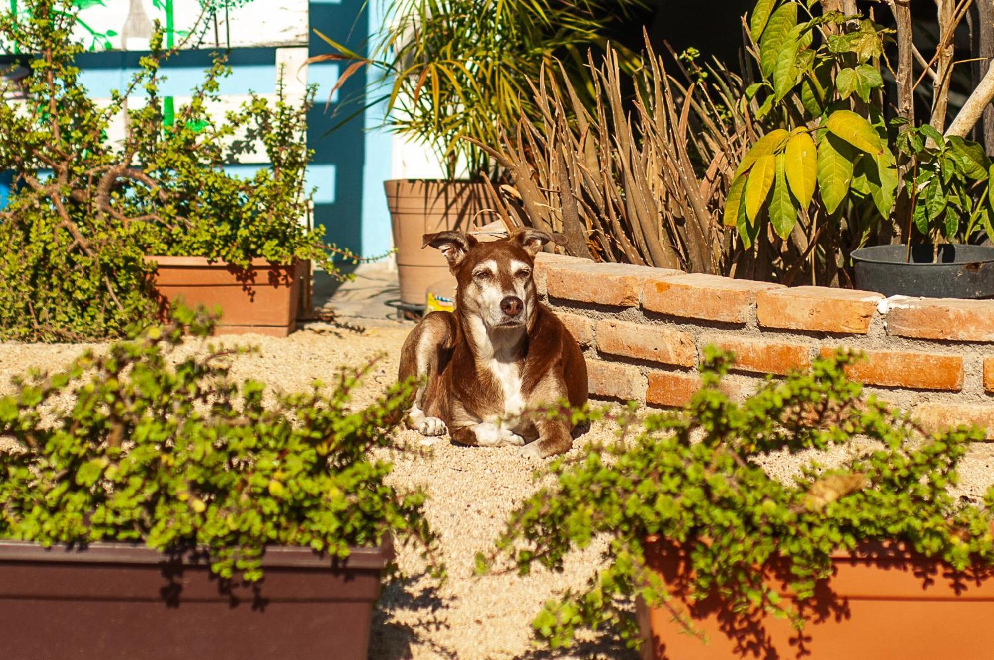 Peace Hostel Mx La Paz Exterior photo